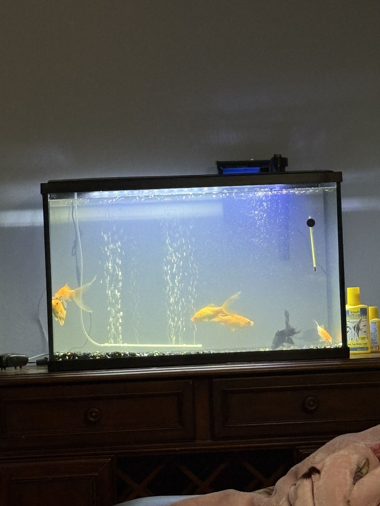 Fish Tank