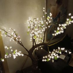 Illuminated Tree