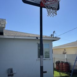 Basketball Hoop