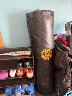 Punching bag / gloves