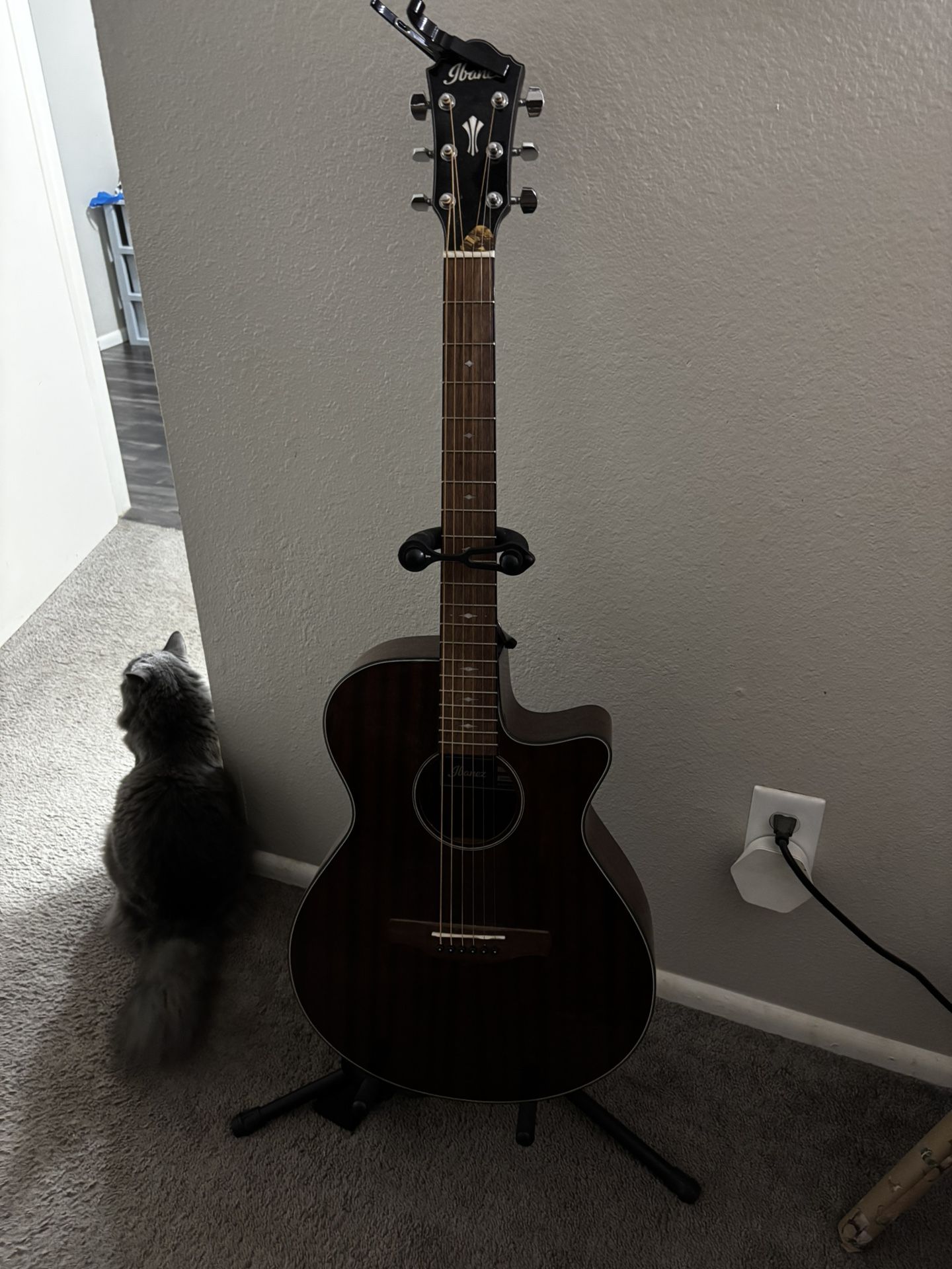 Ibanez Acoustic Guitar