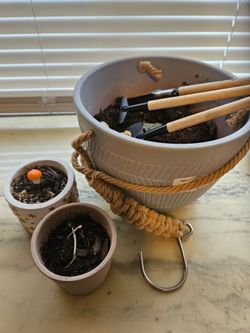 Flower pots all bundle