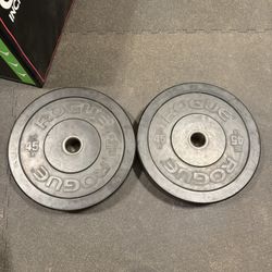 Rogue HG 2.0 45lb Bumpers