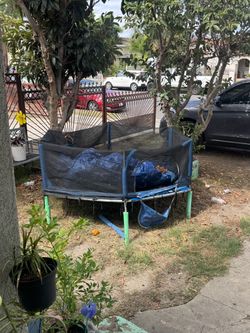 Trampoline