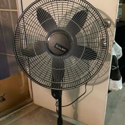 Large Fan