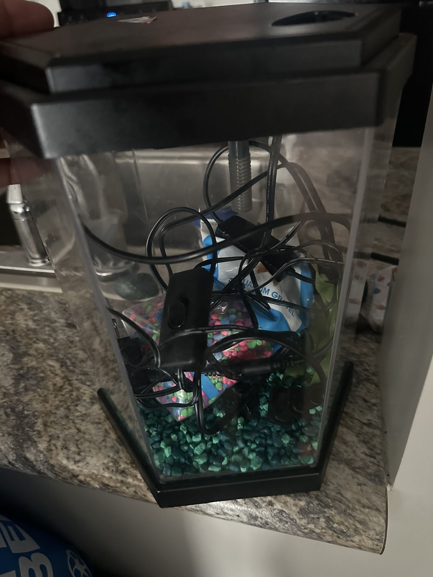 Small Fish Tank