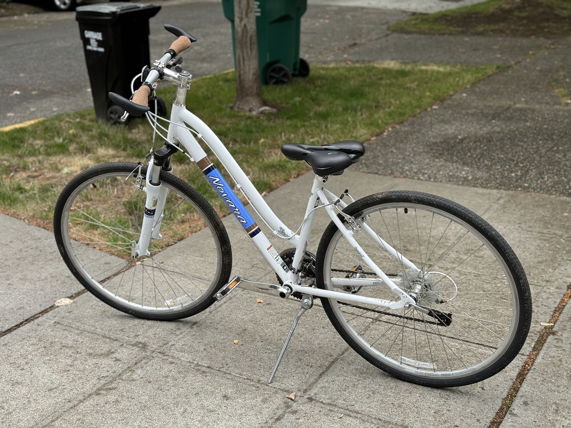 Novara 17” Frame Fiona Bike