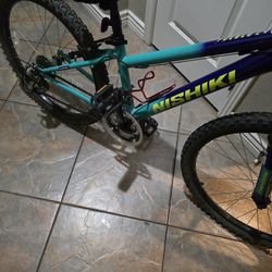 24 Inch Bike 