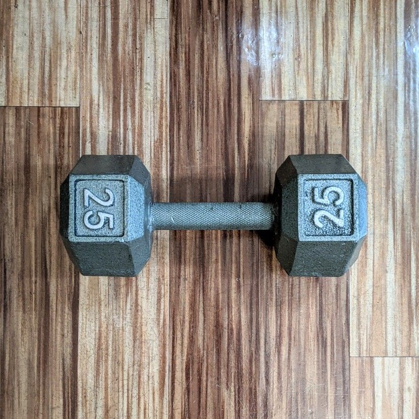 25 lb Cast Iron Hex Dumbbell Weight