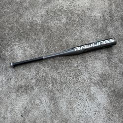 FREE Softball Bat 30 In 17 Oz