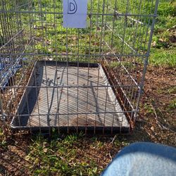 Medium Sized Kennel 