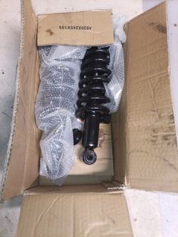 Complete Strut and Coil Spring Assembly