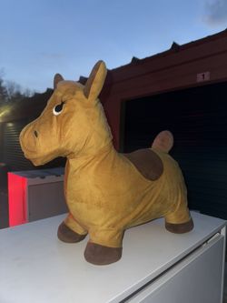 Bouncing Horse