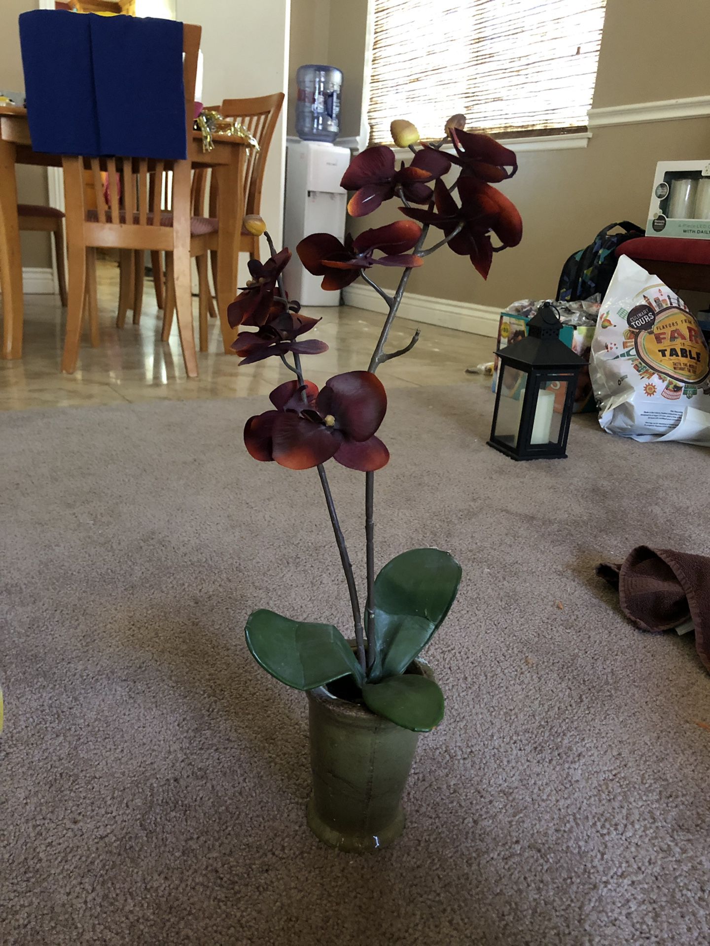 Fake plant, red orchids