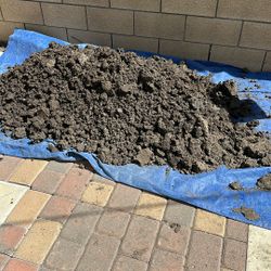 Free Dirt. Not Potting Soil Dirt. Mostly Clay Dirt