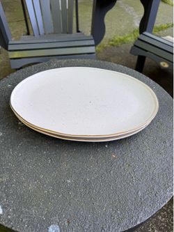 Speckled Stoneware Dinner Plates – Set of 2