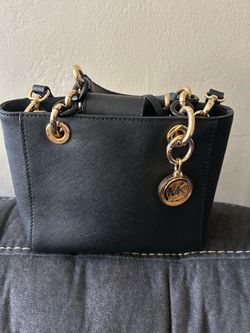 Michael kors small purse ( little)