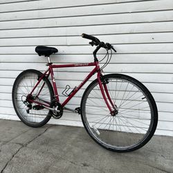 Men’s Specialized Hybrid Bike