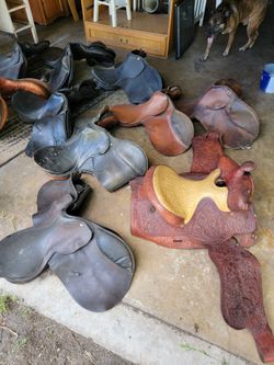 Variety of saddles
