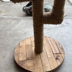 Scratching Post Cat
