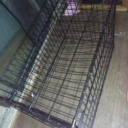 Two Dog 🐶 Cages