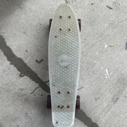 Penny Board Skateboard