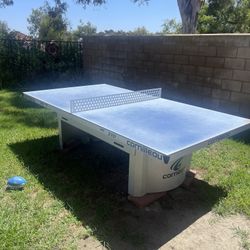 Ping Pong Table