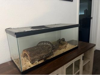 Terrarium