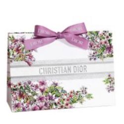 Dior Paper Gift Shopping Bag Limited Edition 2024 NEW 10x7