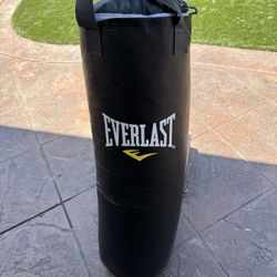 Everlast Punching Bag