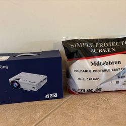Projector and screen