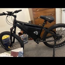 Electric Bike