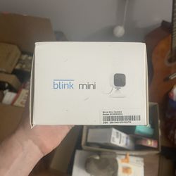 Amazon Blink Mini