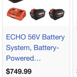 Echo Backpack Blower Battery Powered