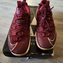 Lebrons Xlll Low Size 8.5