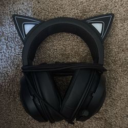 Cat ear headphones