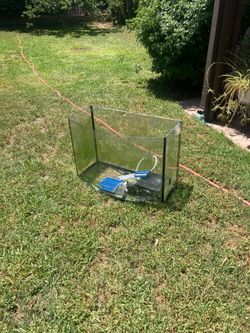 Free fish aquarium