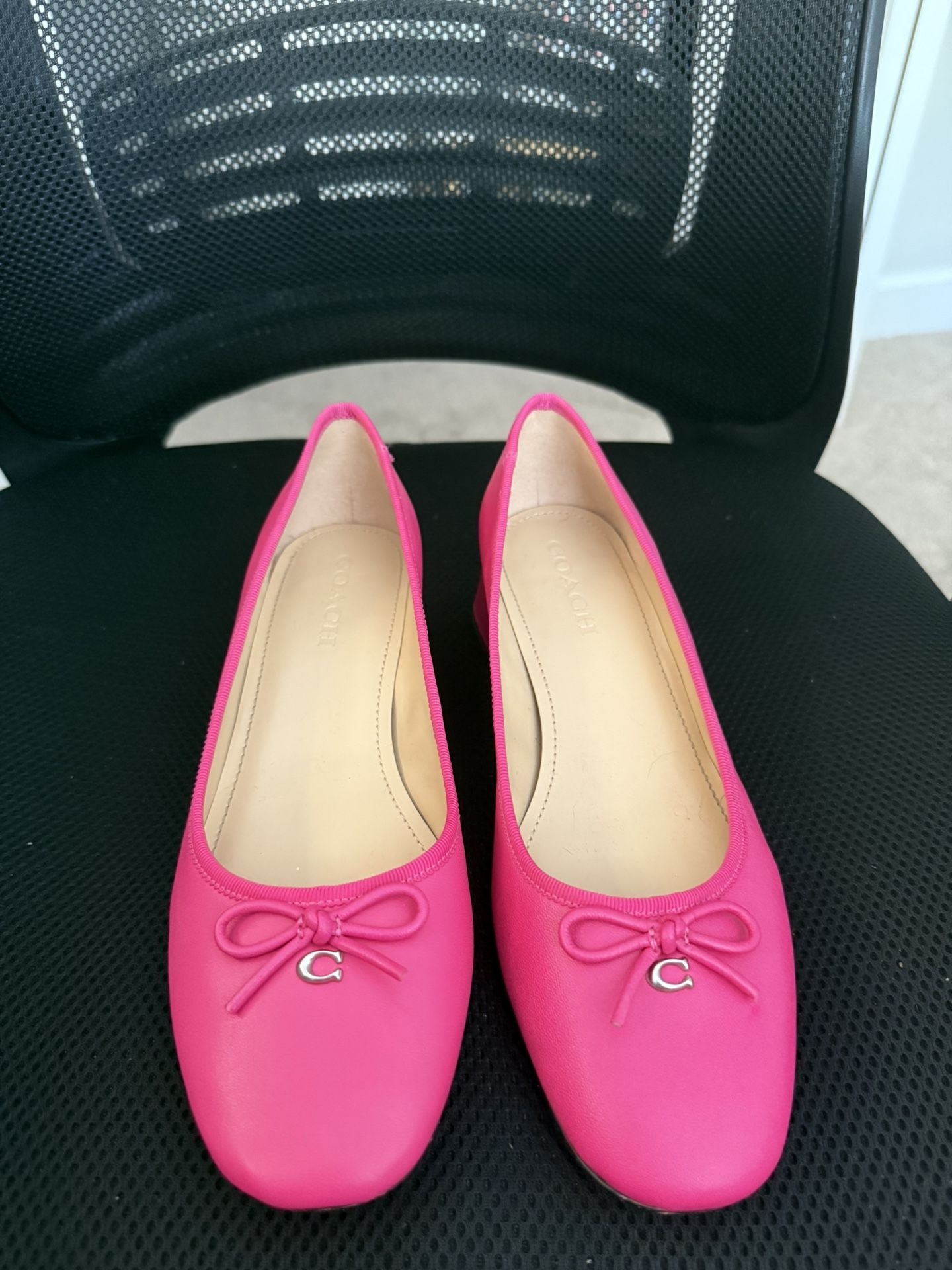 Coach Ava Ballet Pumps