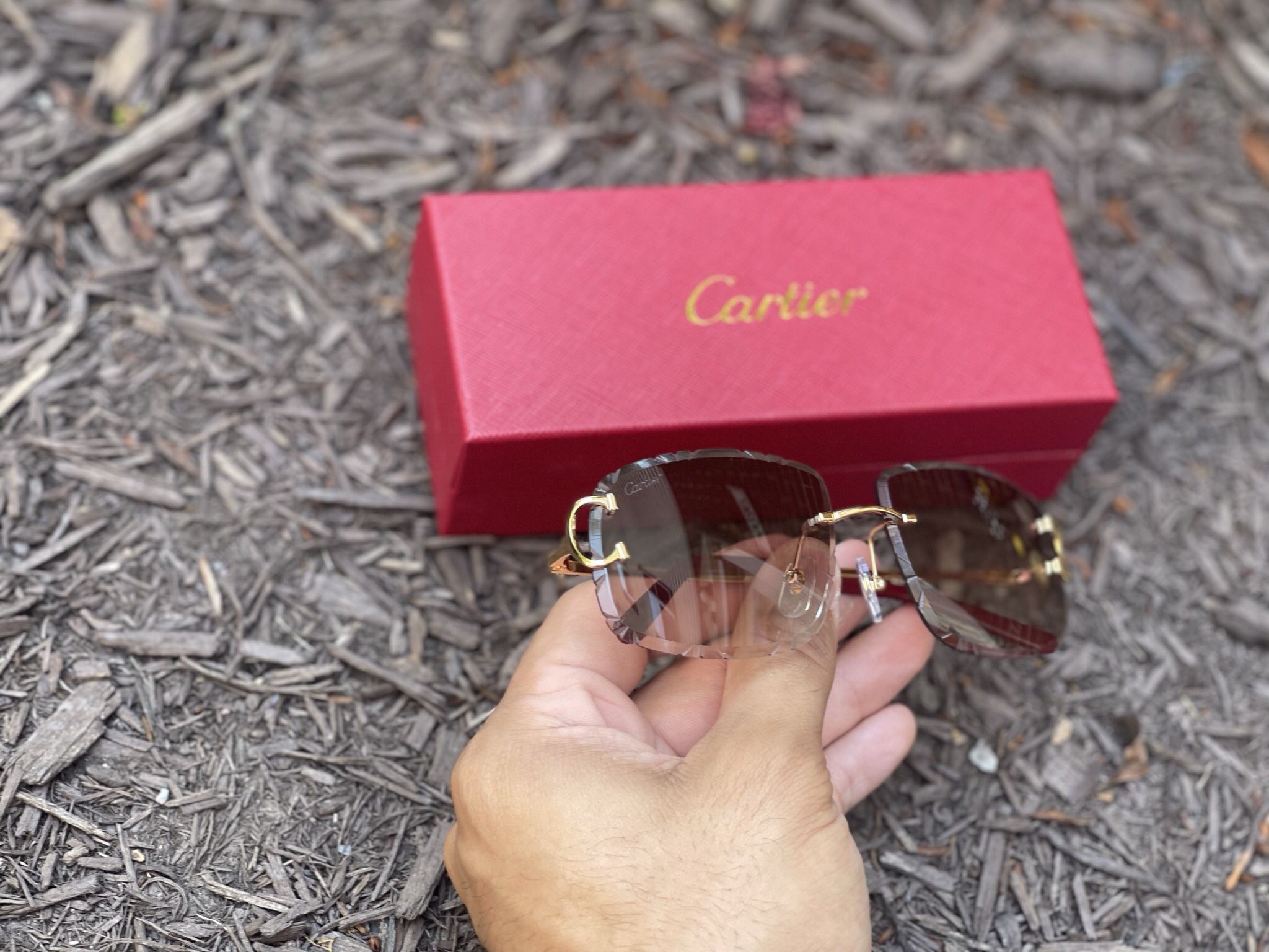 Cartier Glasses - Brown / Gold