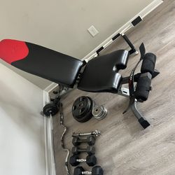 Bench And Weights 