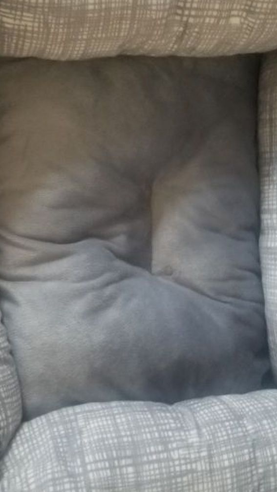 Like new Cat/Pet bad