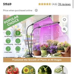 Indoor Grow Light