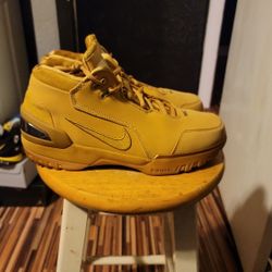 Nike Air Lebron Zoom 1 Wheat Great Cond Sz 10.5 $150