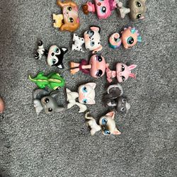 LPS Lot