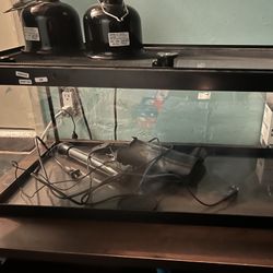 20 Gallon Aquarium 