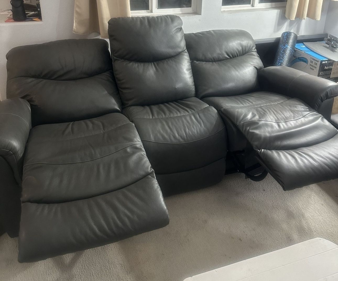 Leather Couches