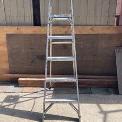 Ladder 🪜 6-Foot 