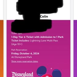 Disneyland Ticket