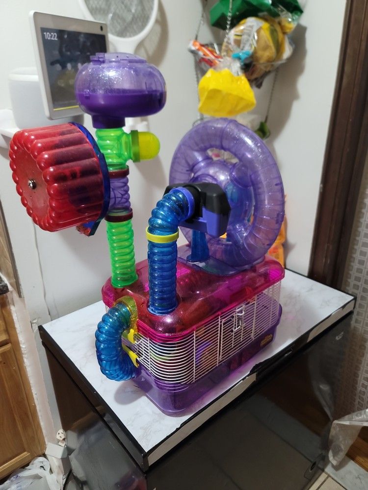 Hamster Avitad