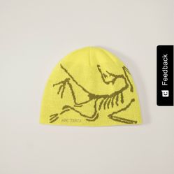 Arc’teryx  Beanie 